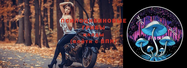 экстази Елизово